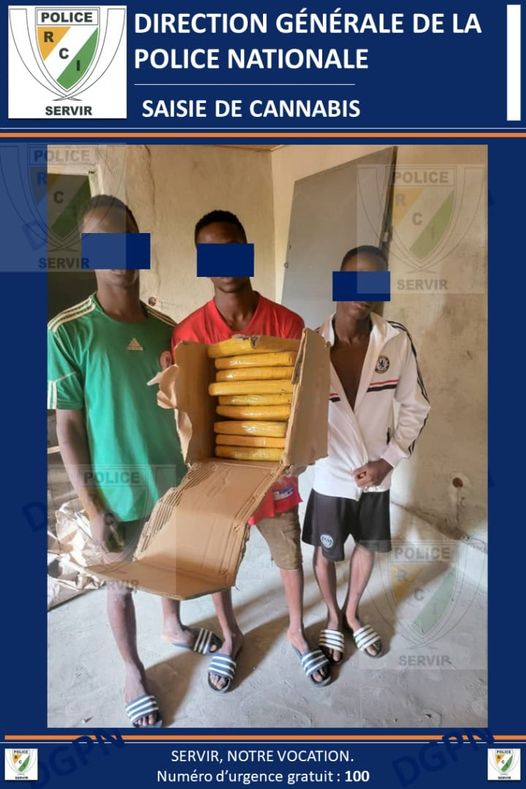 Côte d’Ivoire-Trafic de drogue : Trois jeunes présumés revendeurs arrêtés par la Police
