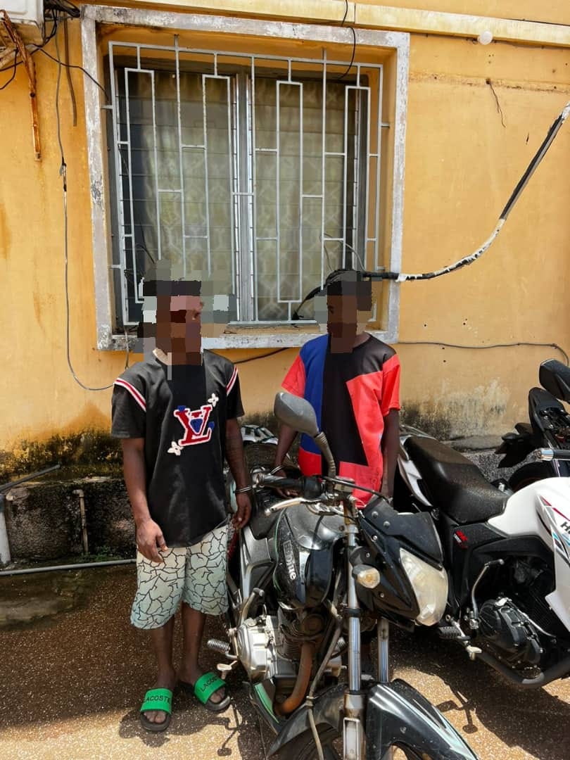 Togo : plusieurs individus soupçonnés d’appartenir à un vaste réseau de vol de motos arrêtés