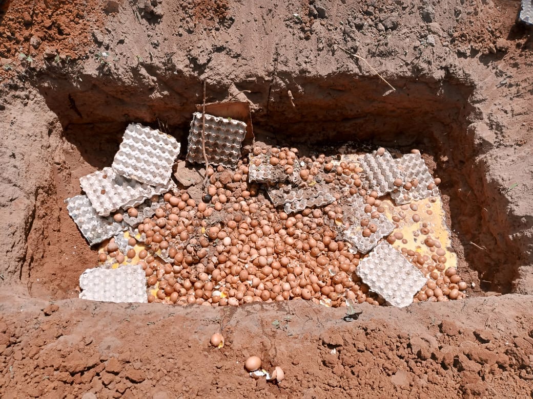 3000 œufs impropres à la consommation détruits à Porto-Novo